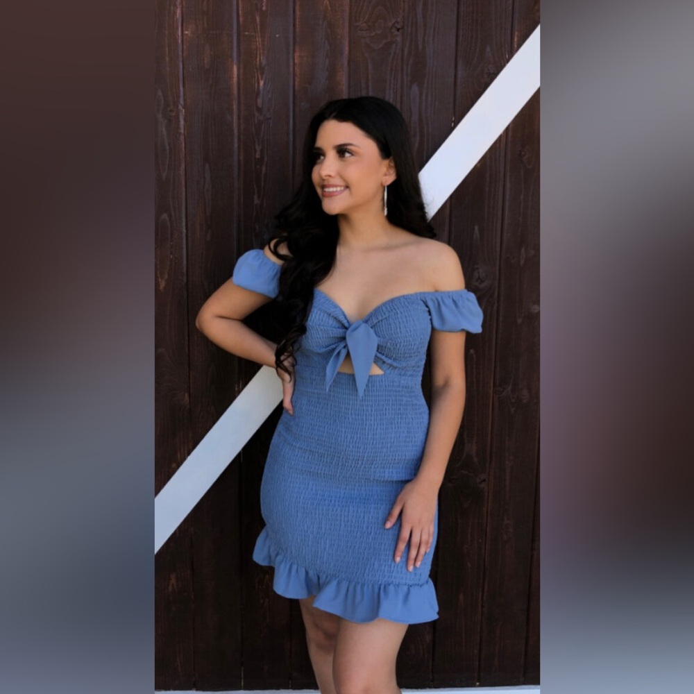 Blush Smocked Tie Knot Mini Dress | NWT - Picture 2 of 11